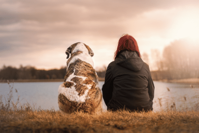 new animal welfare law