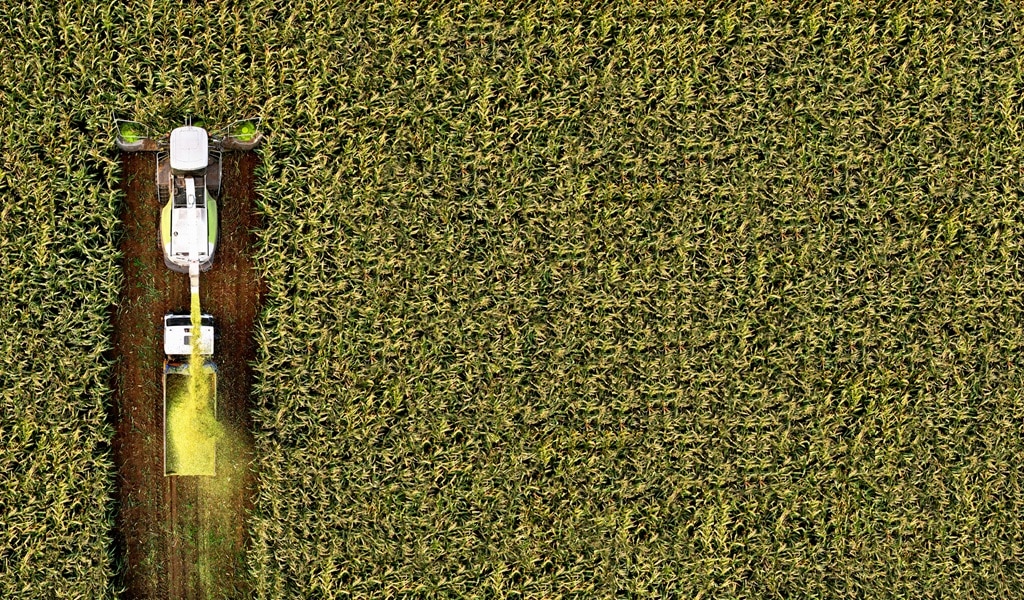 Novos desenvolvementos no seguro agrícola para cultivos en Cataluña: evolución e beneficios